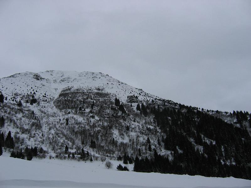 STB_0348.JPG