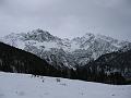 IMG_0345