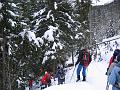 IMG_0352