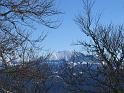 IMG_0515