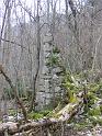 IMG_1010