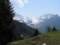 IMG_1118