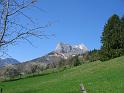 IMG_1126