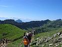 IMG_1493
