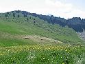 IMG_1506