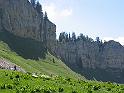 IMG_1509