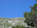IMG_1514