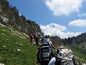 IMG_1529