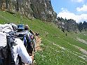 IMG_1530