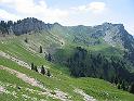 IMG_1533