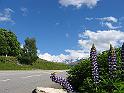 IMG_1631
