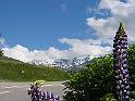 IMG_1632