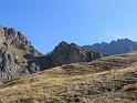 IMG_2244