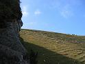 IMG_2634
