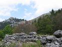 IMG_2651