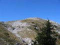 IMG_2849