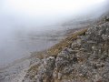 IMG_2878