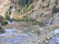 IMG_2939