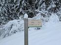 saisies_IMG_0713