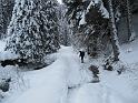 saisies_IMG_0716