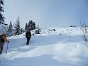 saisies_IMG_0732