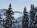 saisies_IMG_0734