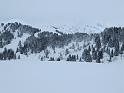 saisies_IMG_0740