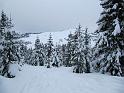 saisies_IMG_0743