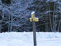 IMG_0855