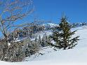IMG_0900