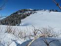 IMG_0904