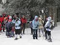IMG_0932