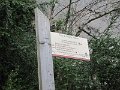 IMG_1452