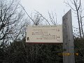 IMG_1458