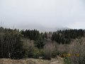 IMG_1459