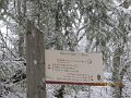 IMG_1463