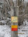 IMG_1465