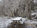 IMG_1468