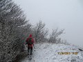 IMG_1469