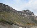 IMG_1486