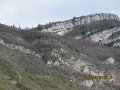 IMG_1487