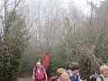 IMG_4049