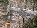 IMG_4095