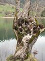 IMG_4102