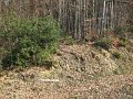 IMG_4149