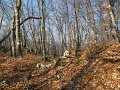 IMG_4152