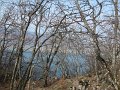 IMG_4153