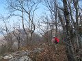 IMG_4154