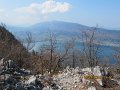 IMG_4161