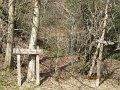 IMG_4165
